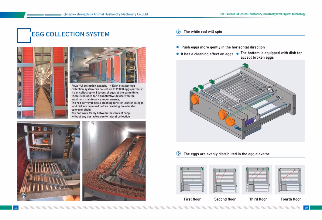 Factory Farming Equipment Chicken Cage Poultry Farm Chicken Battery Cage Broiler Battery Cage and Automatic Breeding System