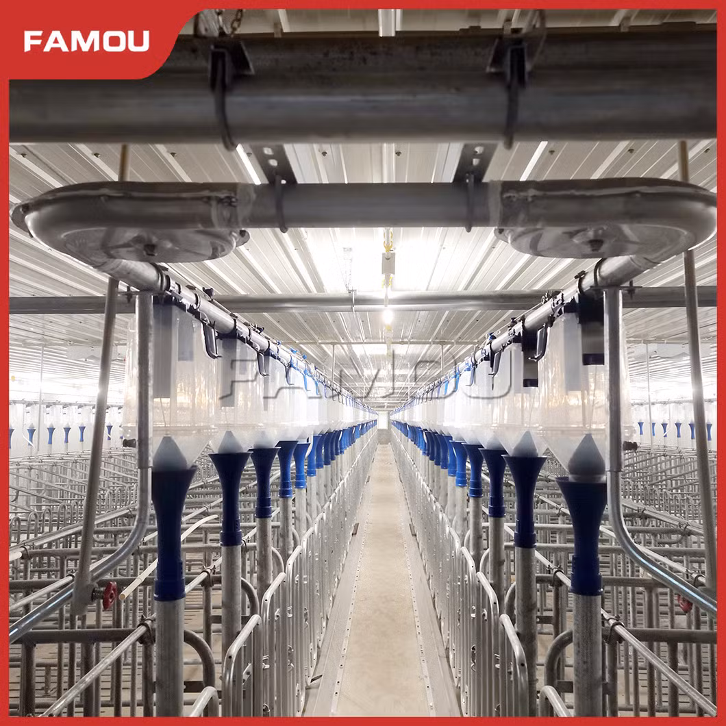 Famou Pig Cage Equipment 60mm Chain Disk Feeding System for Automatic Poultry Feeding System
