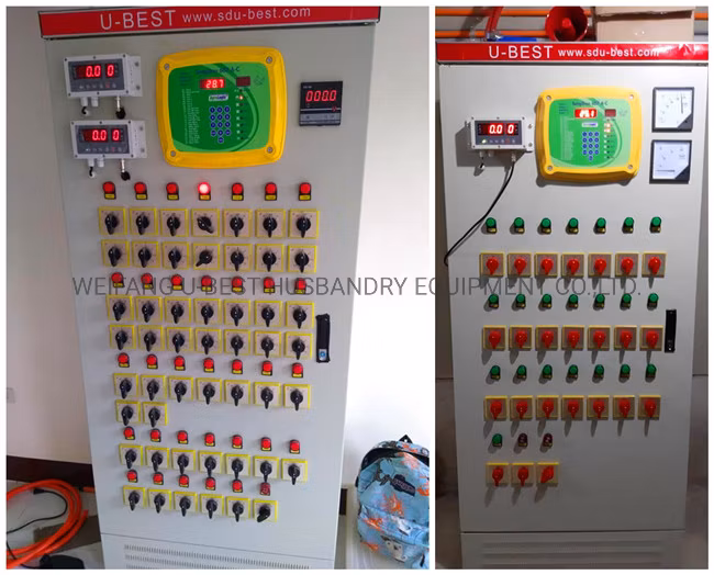 Whole Automatic Broiler Poultry Farming Equipment for Chicken Feeding Equipment