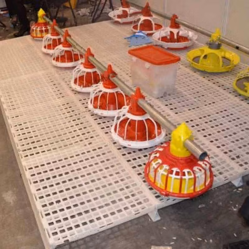 Good Price Broiler Chicken Automatic Feeding and Drinking System for Poultry Farm