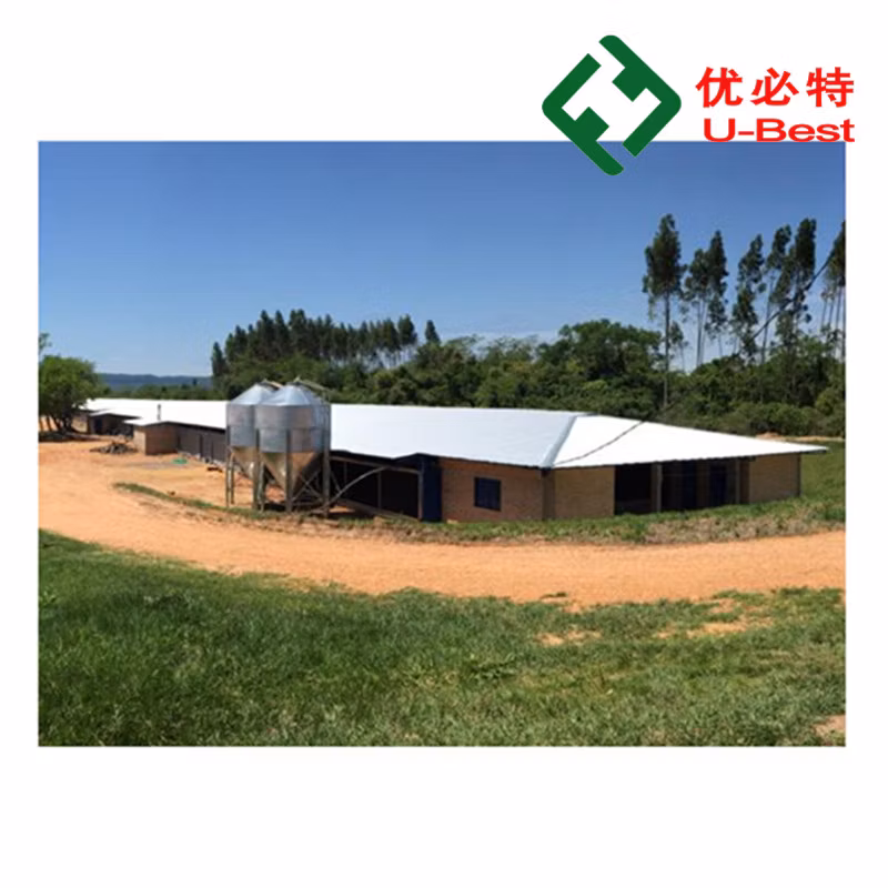 Whole Automatic Broiler Poultry Farming Equipment for Chicken Feeding Equipment