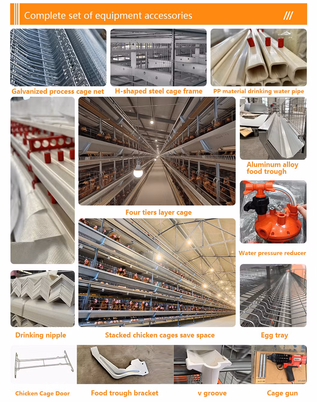 H Type Battery Layer Chicken Cages Automatic Egg Poultry Farming Equipment System