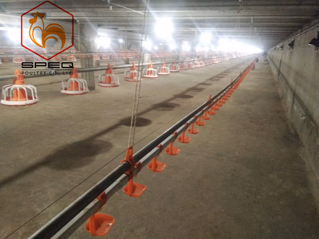 Good Quality Poultry Farming Equipment Feeding Pan System for Broiler