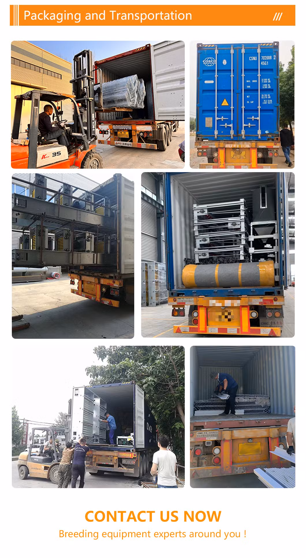 H Type Battery Layer Chicken Cages Automatic Egg Poultry Farming Equipment System
