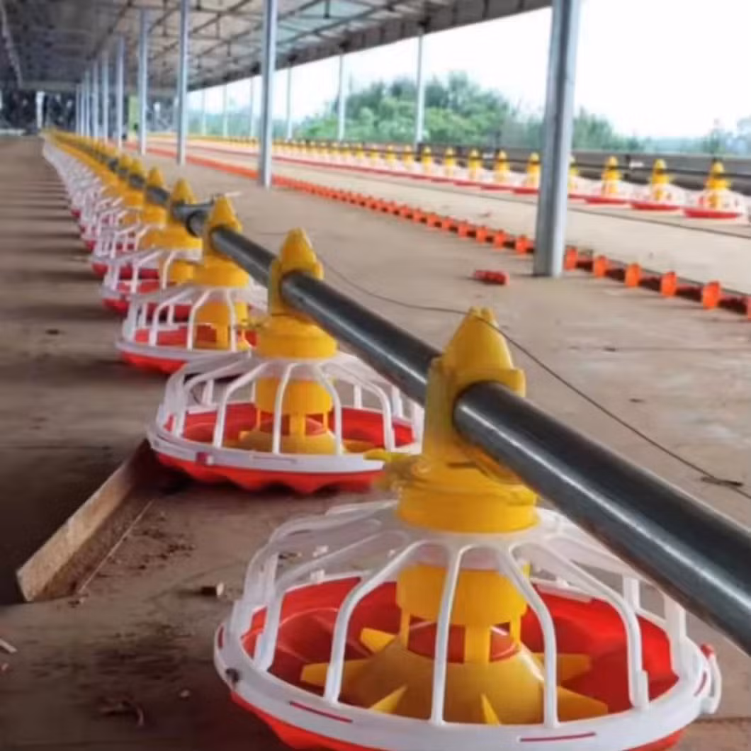 Automatic Chicken Broiler Feeder/ Chick Feed System Broiler Farming Equipment