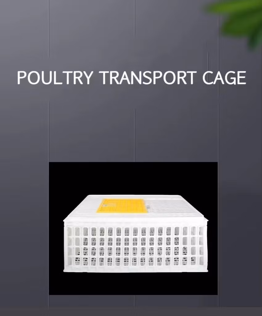 Commercial Farming Live Chicken Transport Cage Poultry Transport Crate for Sale