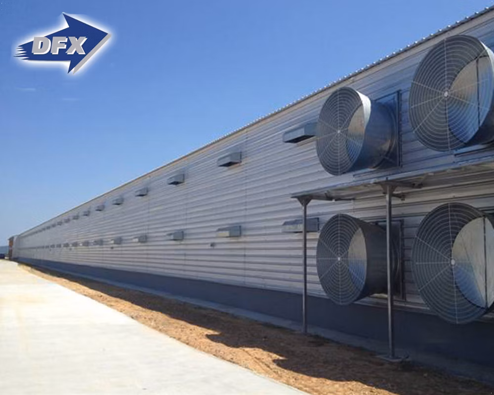 Prefab Steel Structure Chicken House Building Broiler Poultry Farm Shed