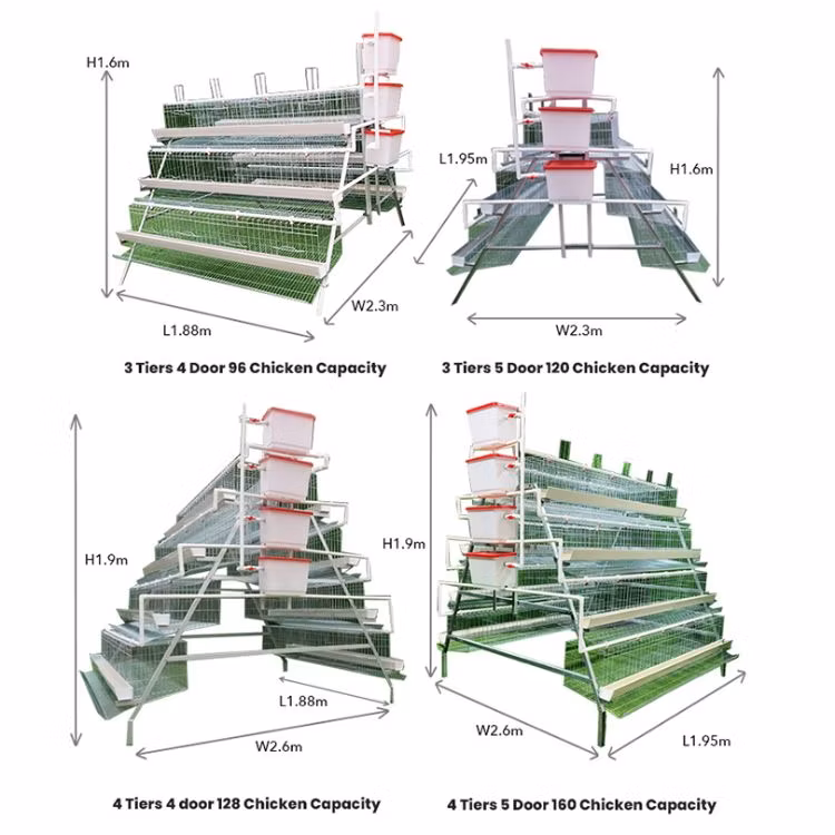 New H-Type Metal Chicken Cage Portable Plastic Birds Breeding Cage for Chicken and Layer Farms