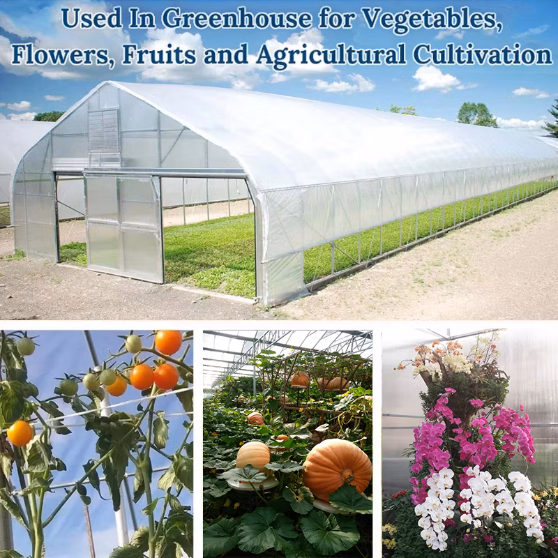 Heavy Commercial Greenhouse 4 Season for Agricultural Blueberry Strawberry Farming Tunnel Greenhouse
