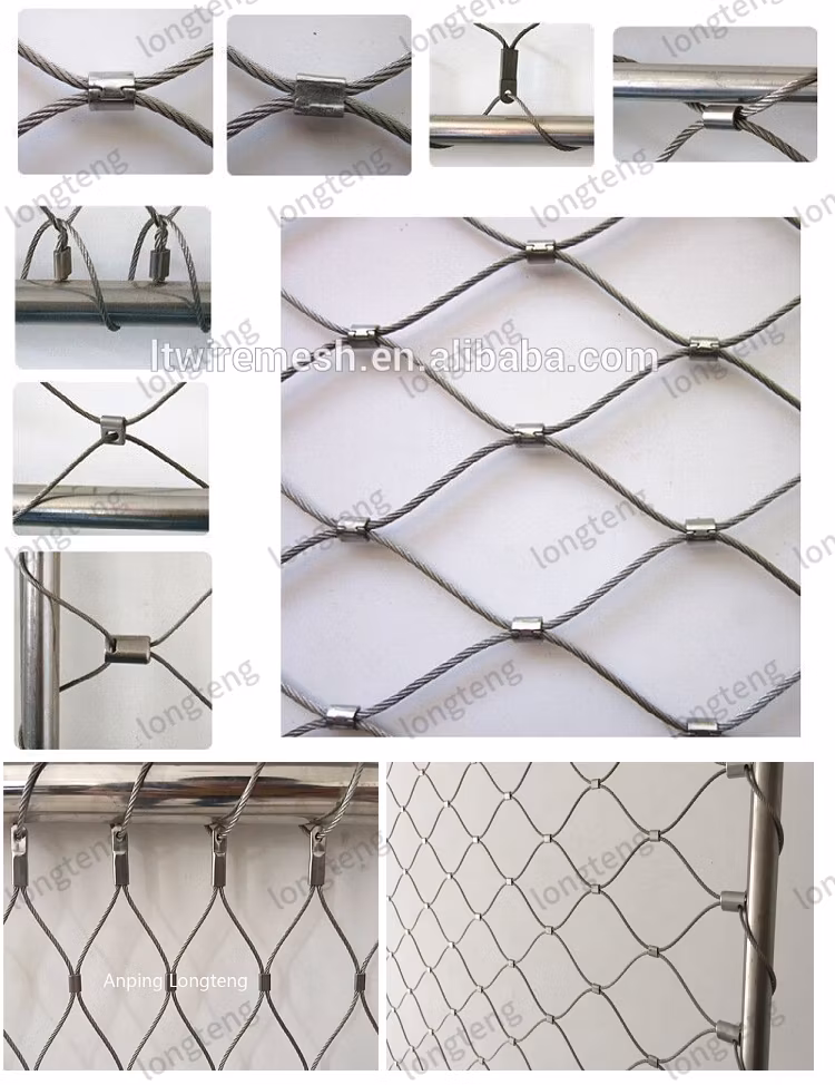 Breeding Pigeons Metal Rope Mesh Bird Cage Black Oxide Inox Cable Netting for Aviary Enclosure