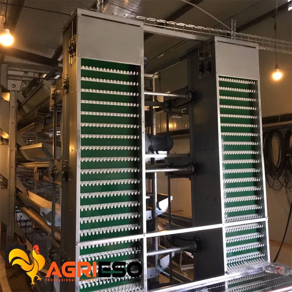 Agrieso 3 Tiers Low Carbon Steel Wire Poultry Laying Hens Chicken Battery Cage with Nipple Drinker Feed Through and Manure Belt
