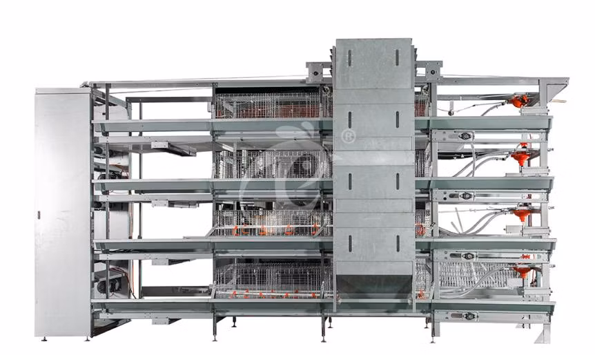 Bestchickencage China Vertical Chicken Coop Manufacturing H Frame Automatic Boriler Cages OEM Customized Hot Galvanized Surface Treatment Big Chicken Cage