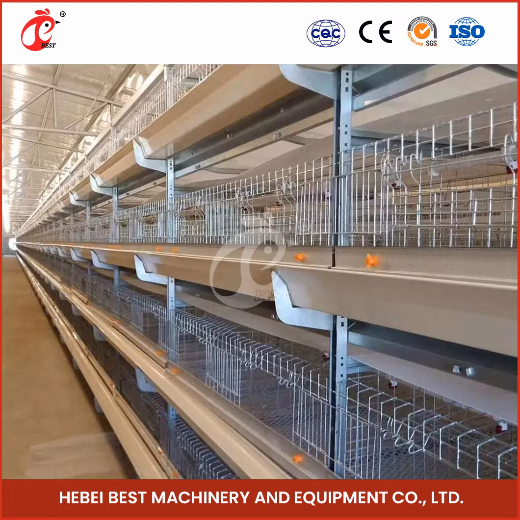 Bestchickencage China Vertical Chicken Coop Manufacturing H Frame Automatic Boriler Cages OEM Customized Hot Galvanized Surface Treatment Big Chicken Cage
