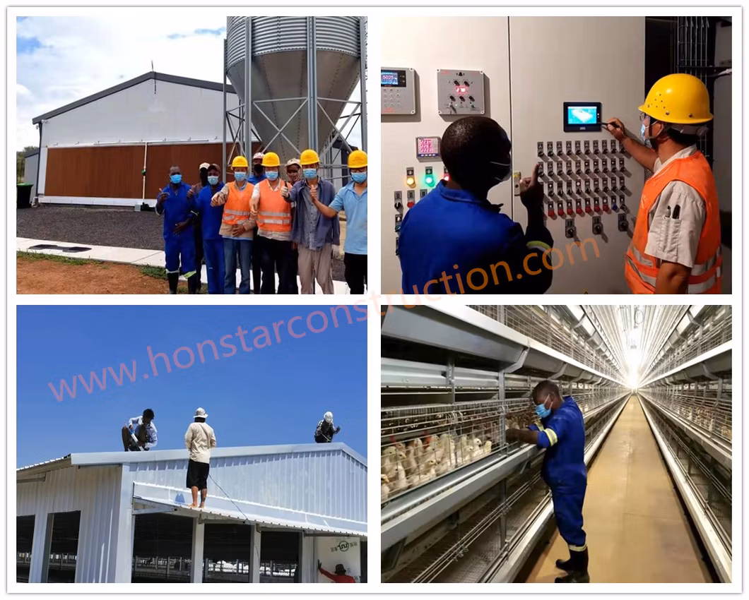Prefabricated Engineering Building/Chicken House/Henhouse/Chicken Coop/Pheasantry /Layer Egg Chicken Cage Broiler Poultry Farm