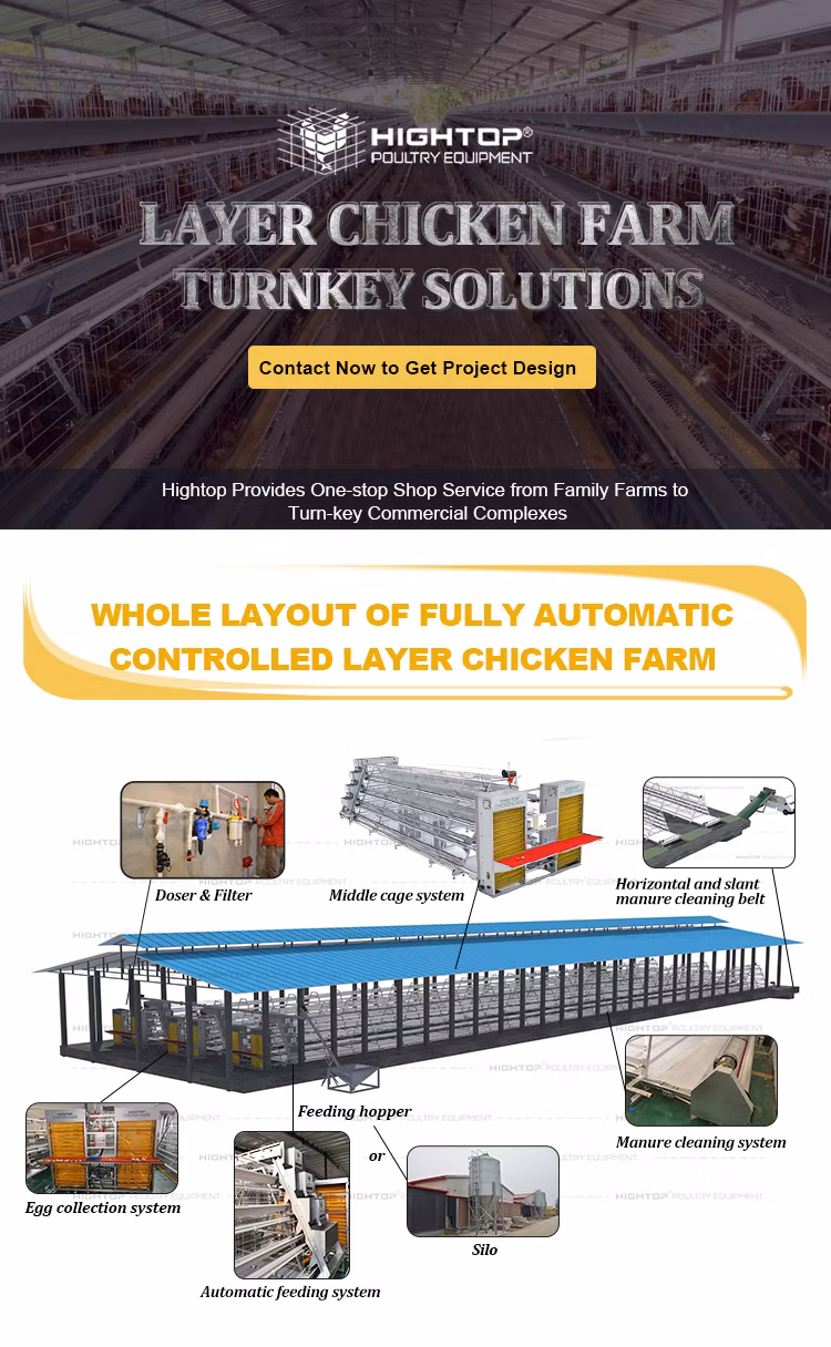 Hightop Poultry Farms Equipment 3-Tier 4-Tier A Type Automatic Galvanized Battery Layer Farm with Feeding System