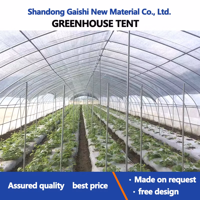 Heavy Commercial Greenhouse 4 Season for Agricultural Blueberry Strawberry Farming Tunnel Greenhouse