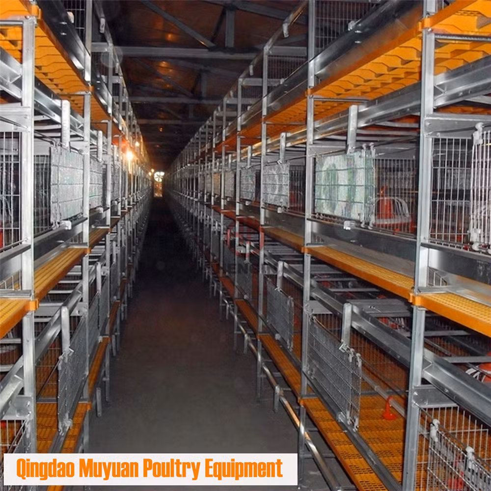 Customized Galvanized Metal Chicken Broiler Battery Cage for Poultry Farm