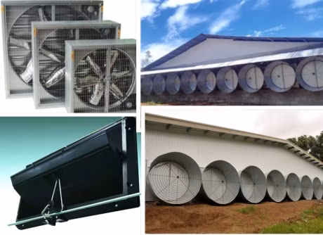 Good Price Broiler Chicken Automatic Feeding and Drinking System for Poultry Farm