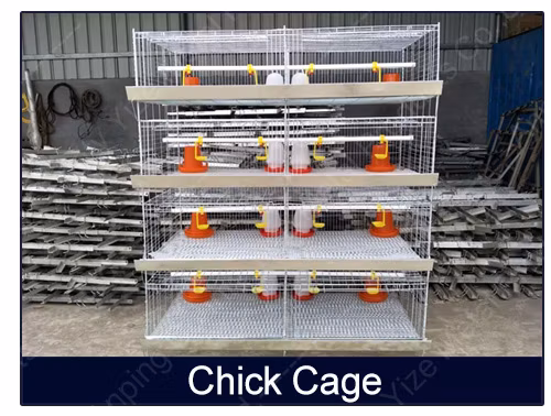Poultry Layer Chicken Cages Coop Battery Walk Single Mesh Wire Door Enclosure