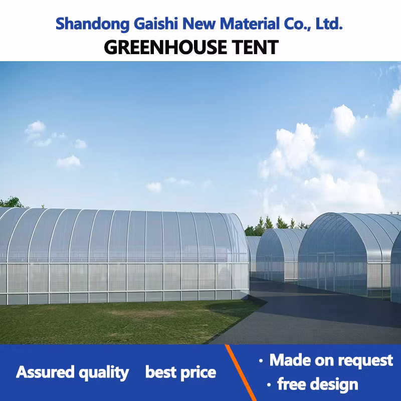 Heavy Commercial Greenhouse 4 Season for Agricultural Blueberry Strawberry Farming Tunnel Greenhouse