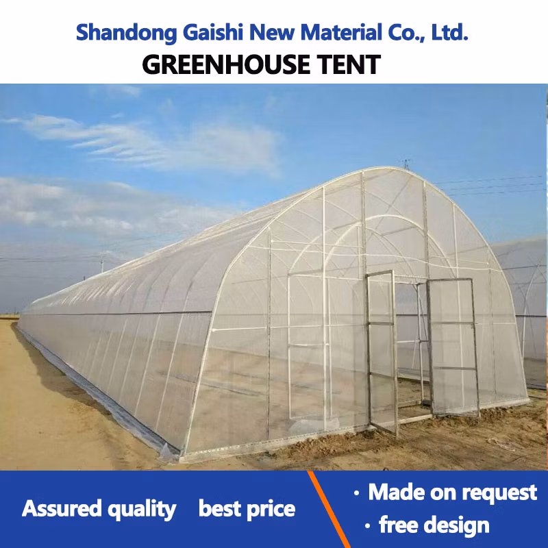 Heavy Commercial Greenhouse 4 Season for Agricultural Blueberry Strawberry Farming Tunnel Greenhouse