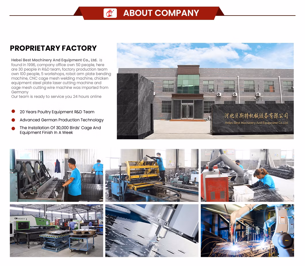 Bestchickencage Manure Removal System China Cage System Poultry Manure Cleaning Scraper Supplier Customized Environment Friendly Manure Removal System Equipment