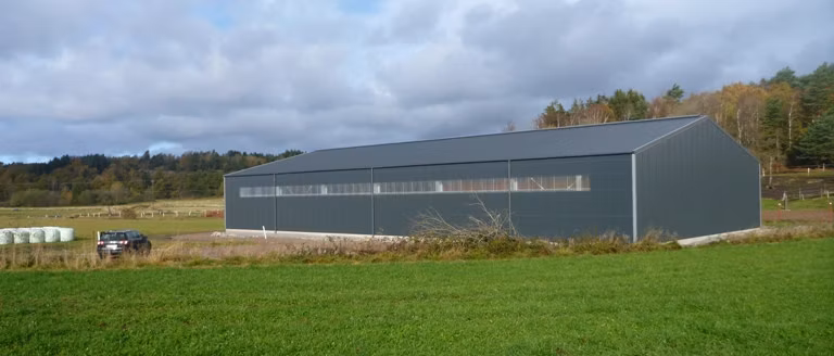 Best Manufacturer Automatic Free Range Backyard Chicken Livestock Farm