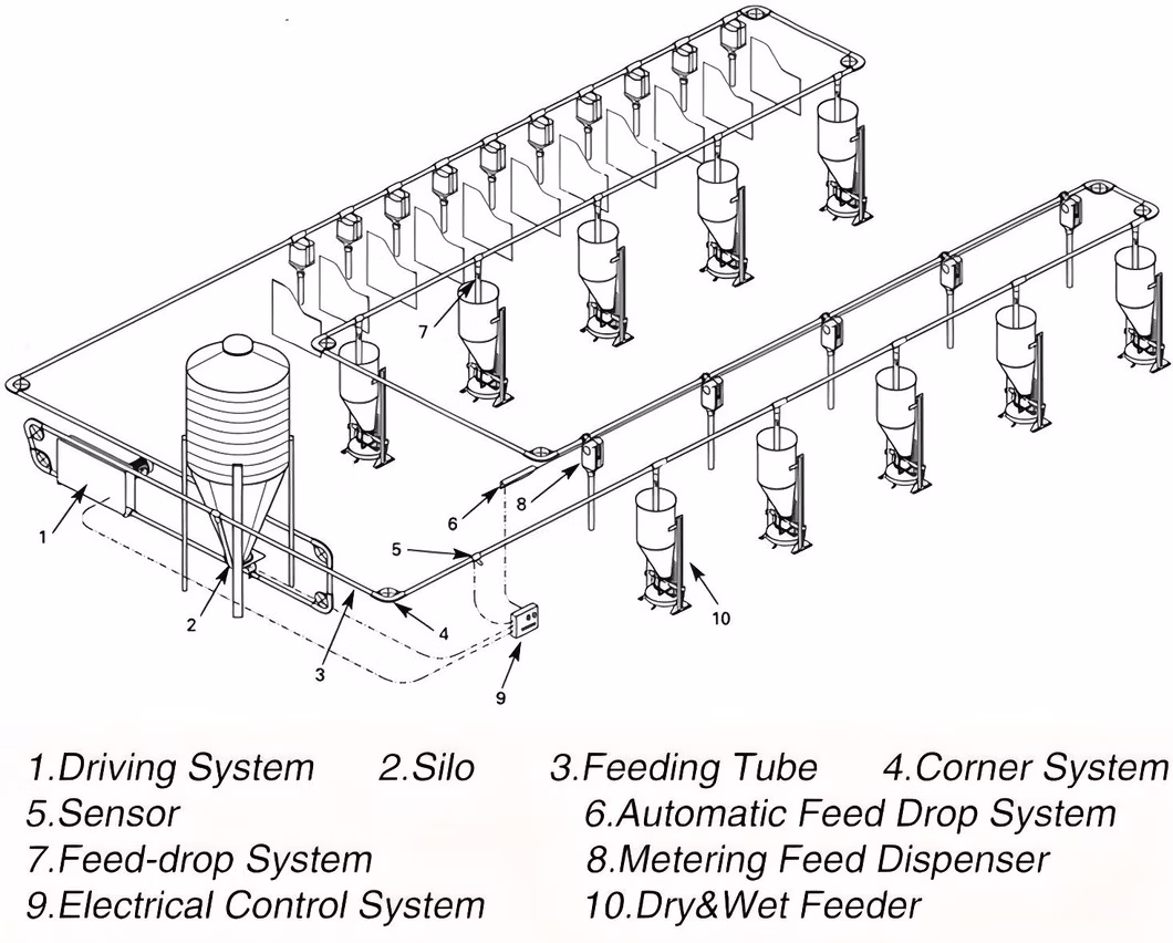 Famou Pig Cage Equipment 60mm Chain Disk Feeding System for Automatic Poultry Feeding System