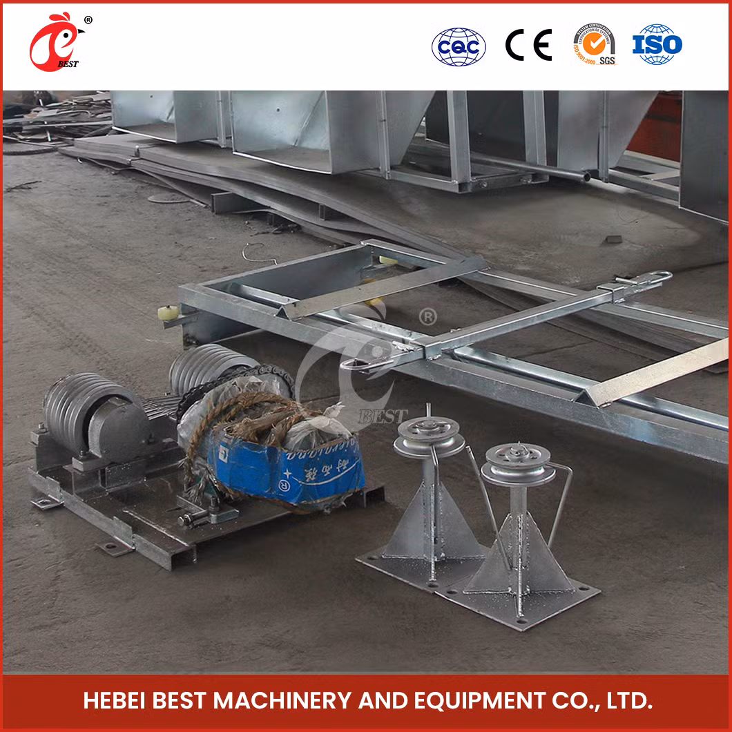 Bestchickencage Manure Removal System China Cage System Poultry Manure Cleaning Scraper Supplier Customized Environment Friendly Manure Removal System Equipment