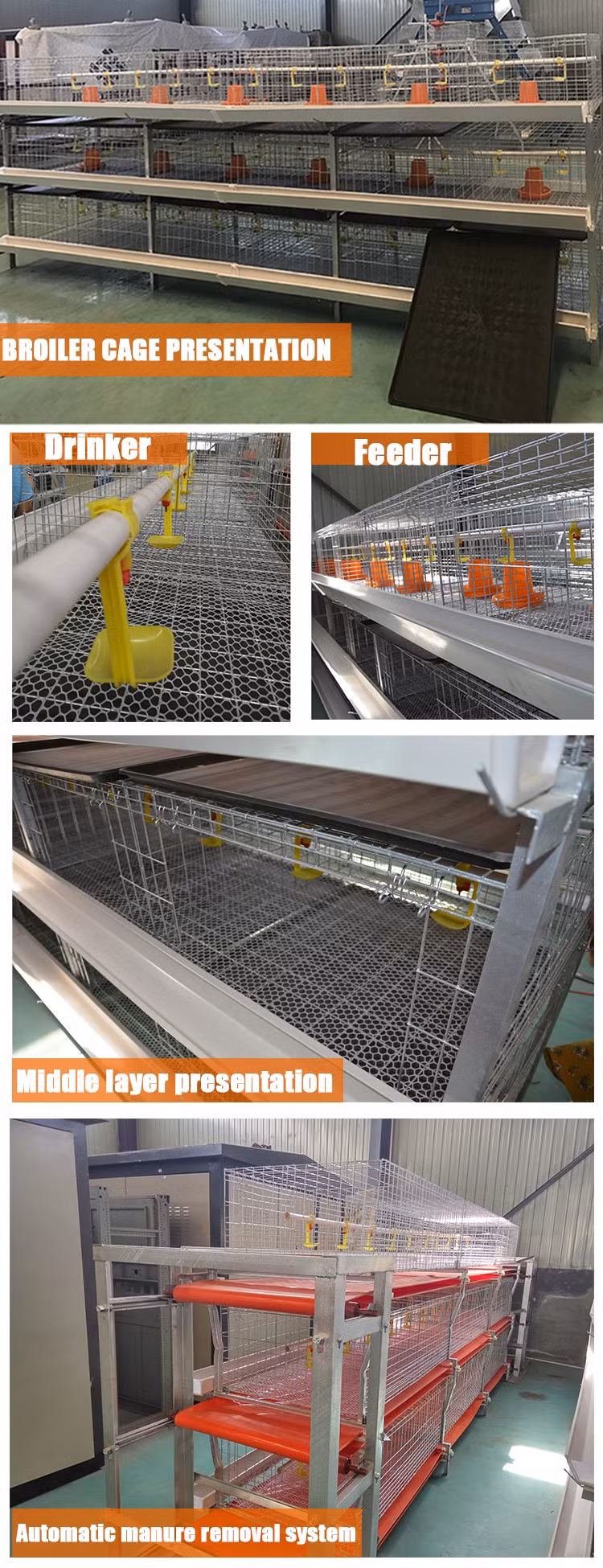 Factory Outlet Fully Automatic Battery Broiler Cage Galvanized Meat Chicken Cage
