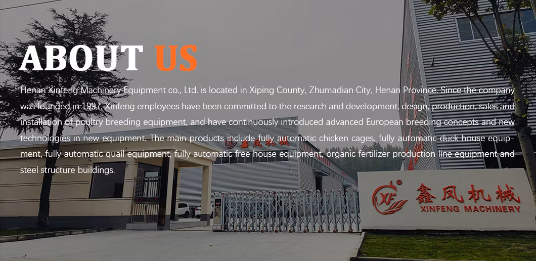 Automatic Poultry Farming Breeding Hatching Equipment Chicken Battery Cages for Roosters