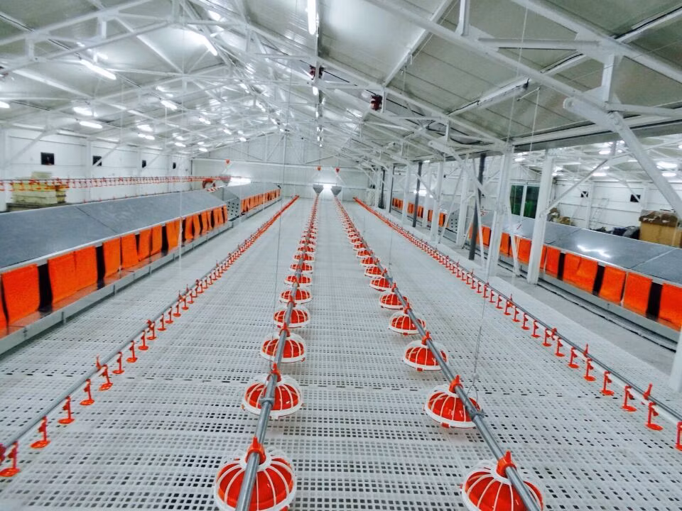Good Quality Poultry Farming Equipment Feeding Pan System for Broiler