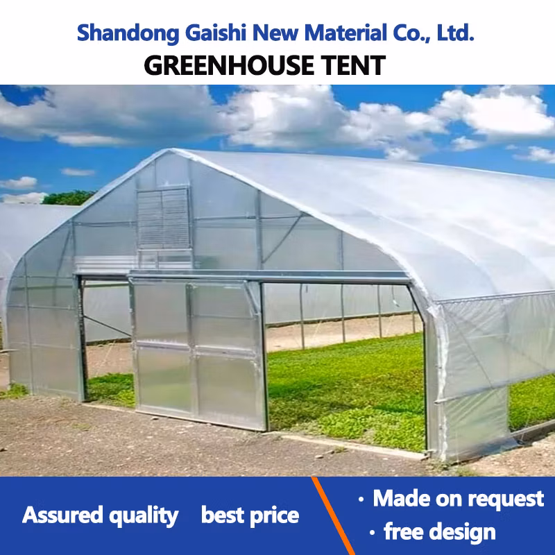 Heavy Commercial Greenhouse 4 Season for Agricultural Blueberry Strawberry Farming Tunnel Greenhouse