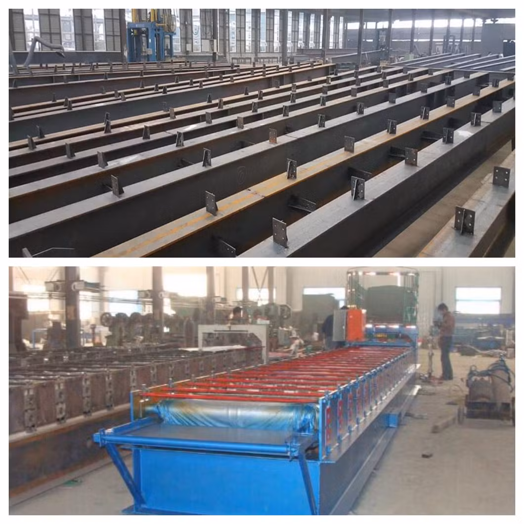 China Factory Supply Steel Frame Chicken Shed/House Building Prefab Poultry Farm Construction
