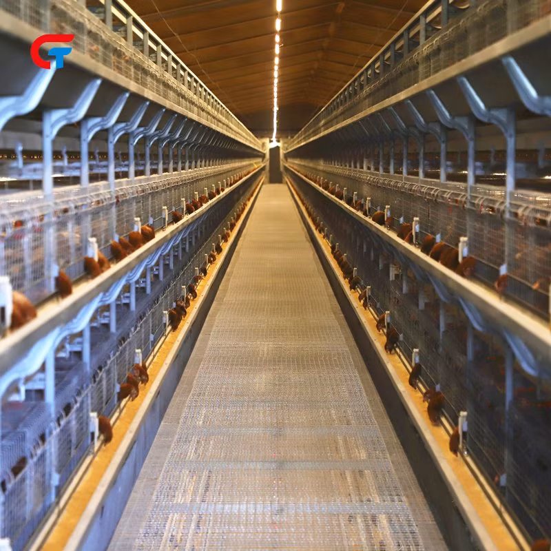 Battery Chicken Cage, Automatic Intelligent Chicken House Farming Poultry Equipment