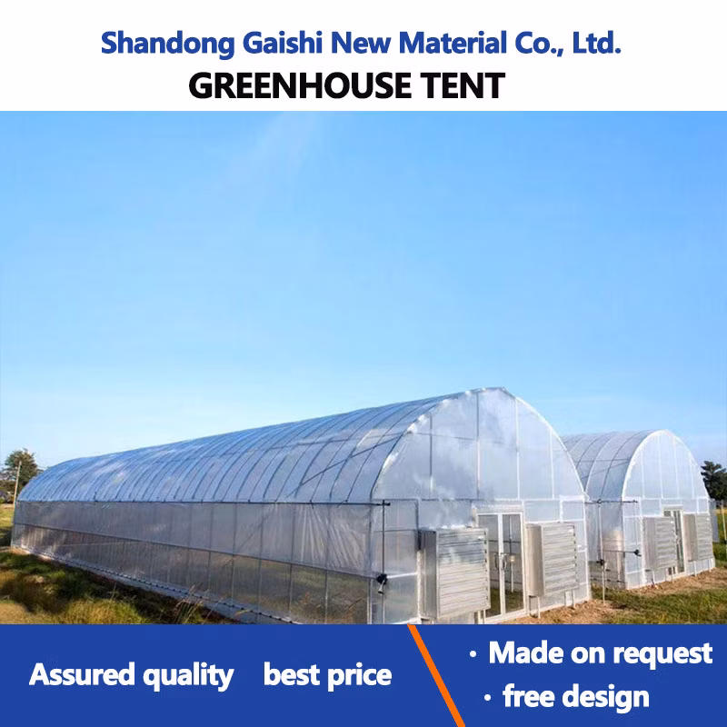 Heavy Commercial Greenhouse 4 Season for Agricultural Blueberry Strawberry Farming Tunnel Greenhouse