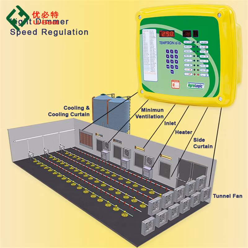 Gold Supplier Low Price Poultry Farm Equipment for Broiler