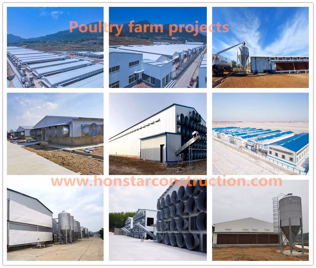 Prefabricated Engineering Building/Chicken House/Henhouse/Chicken Coop/Pheasantry /Layer Egg Chicken Cage Broiler Poultry Farm