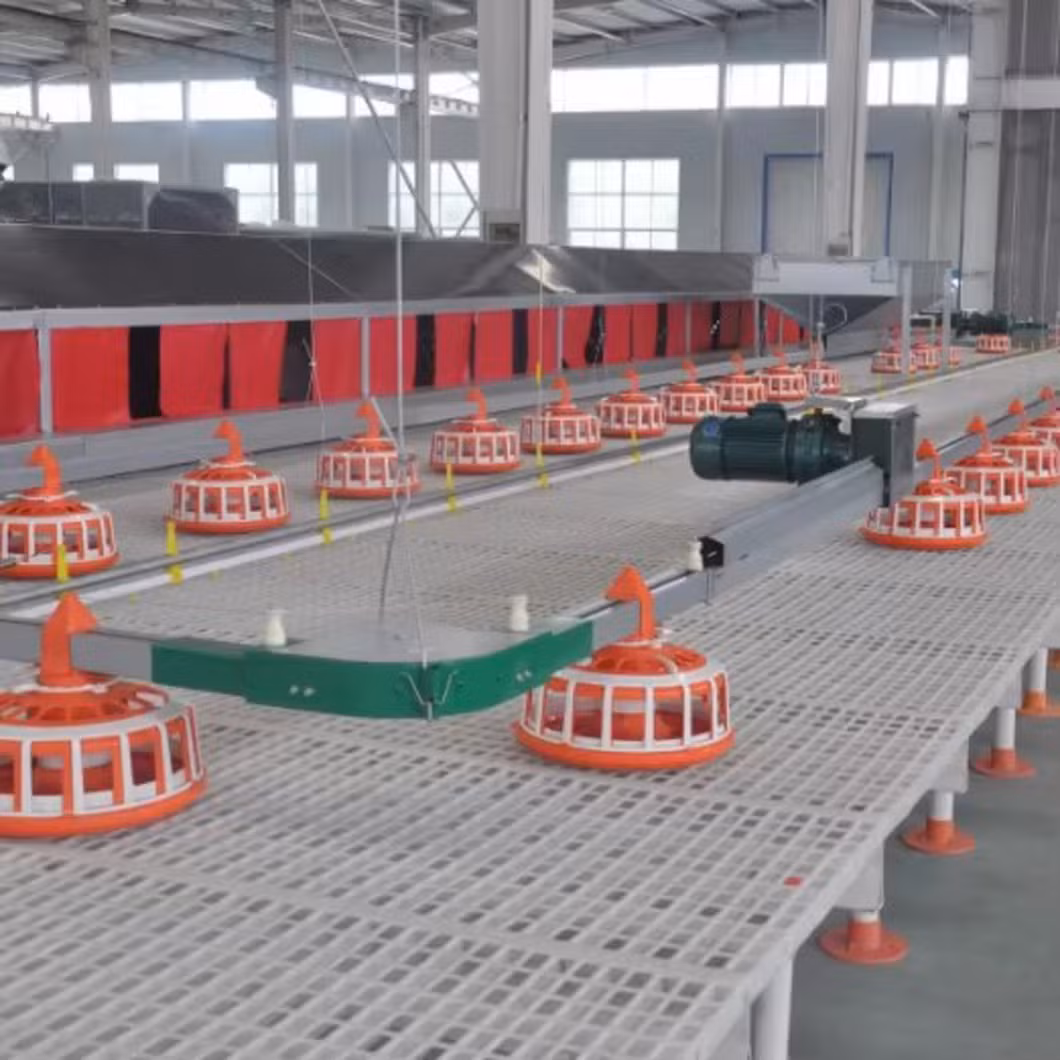 Automatic Chicken Broiler Feeder/ Chick Feed System Broiler Farming Equipment