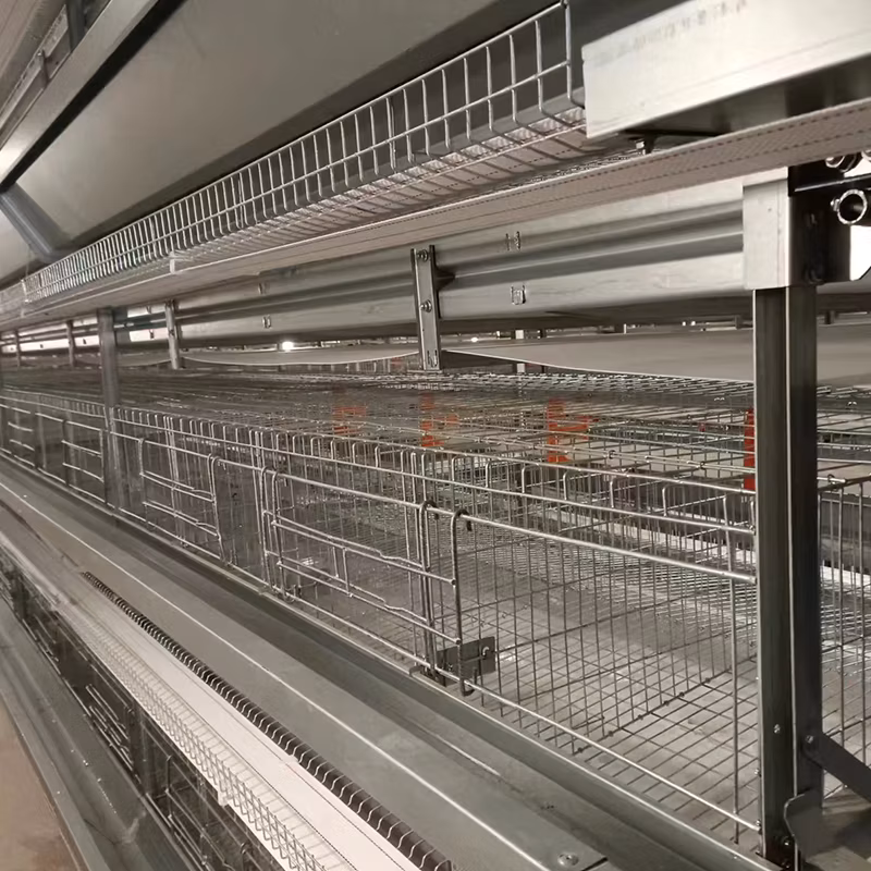 Automatic Farm Poultry Breeding Equipment Egg Chicken Cages with Feeding Systems