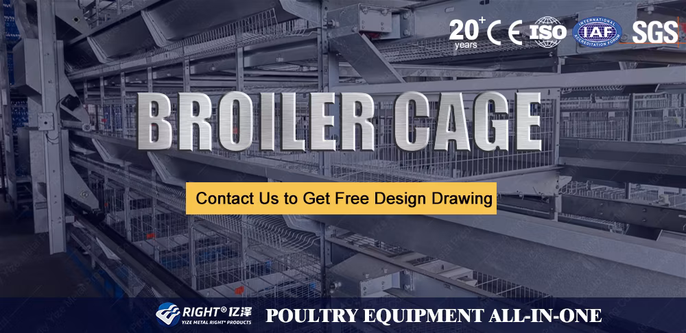 Factory Outlet Fully Automatic Battery Broiler Cage Galvanized Meat Chicken Cage