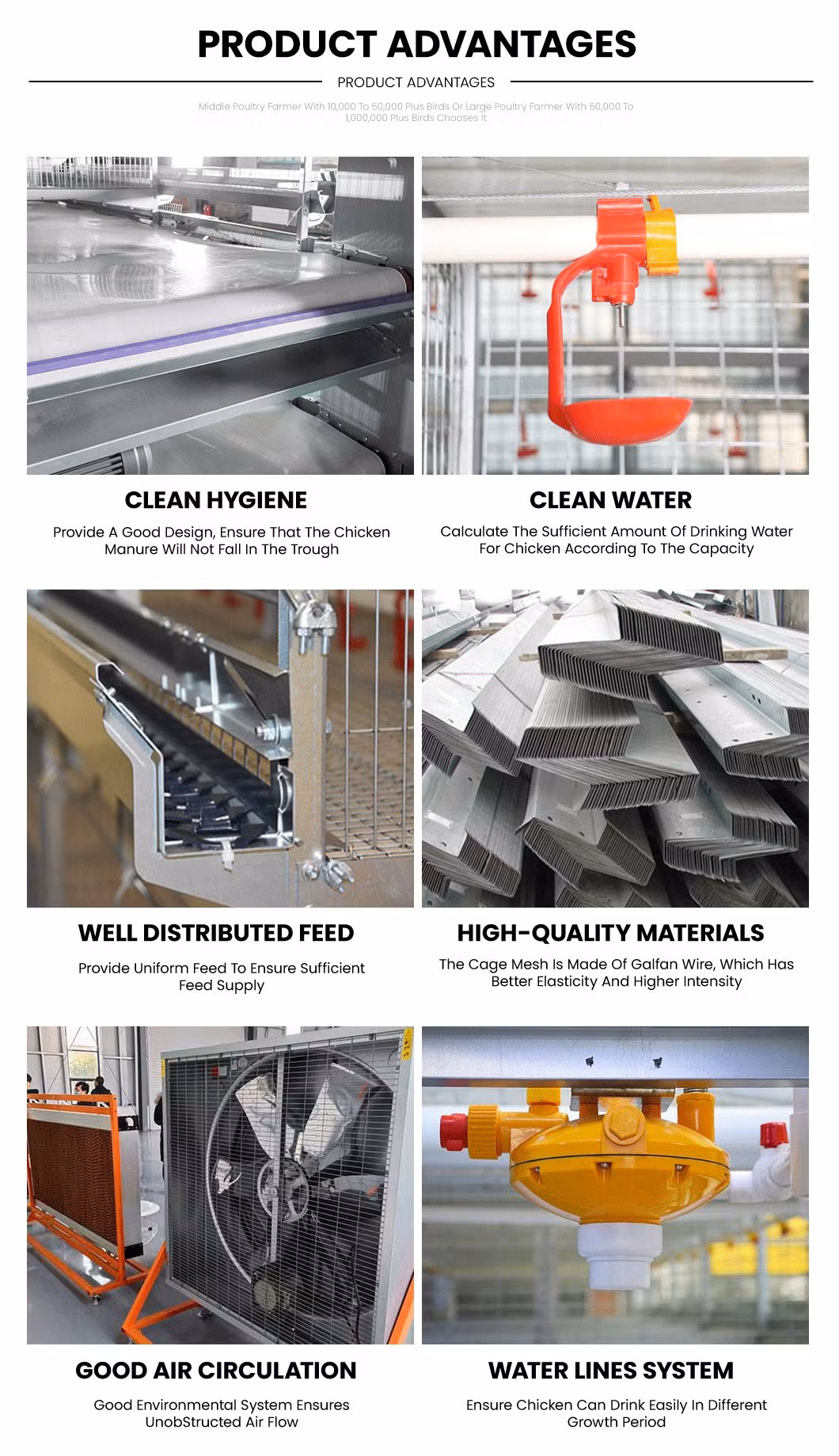 Bestchickencage Ordinary Type Layer Cage China Chicken Breeding Layer Cages Manufacturer ODM Custom Plenty Space Features Egg Laying Chicken Cage