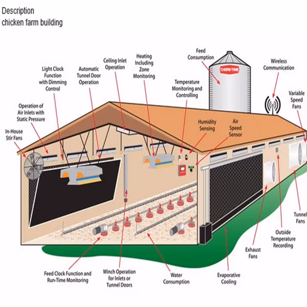 Good Price Prefab Light Steel Structure Building Chicken House for Laying Hens
