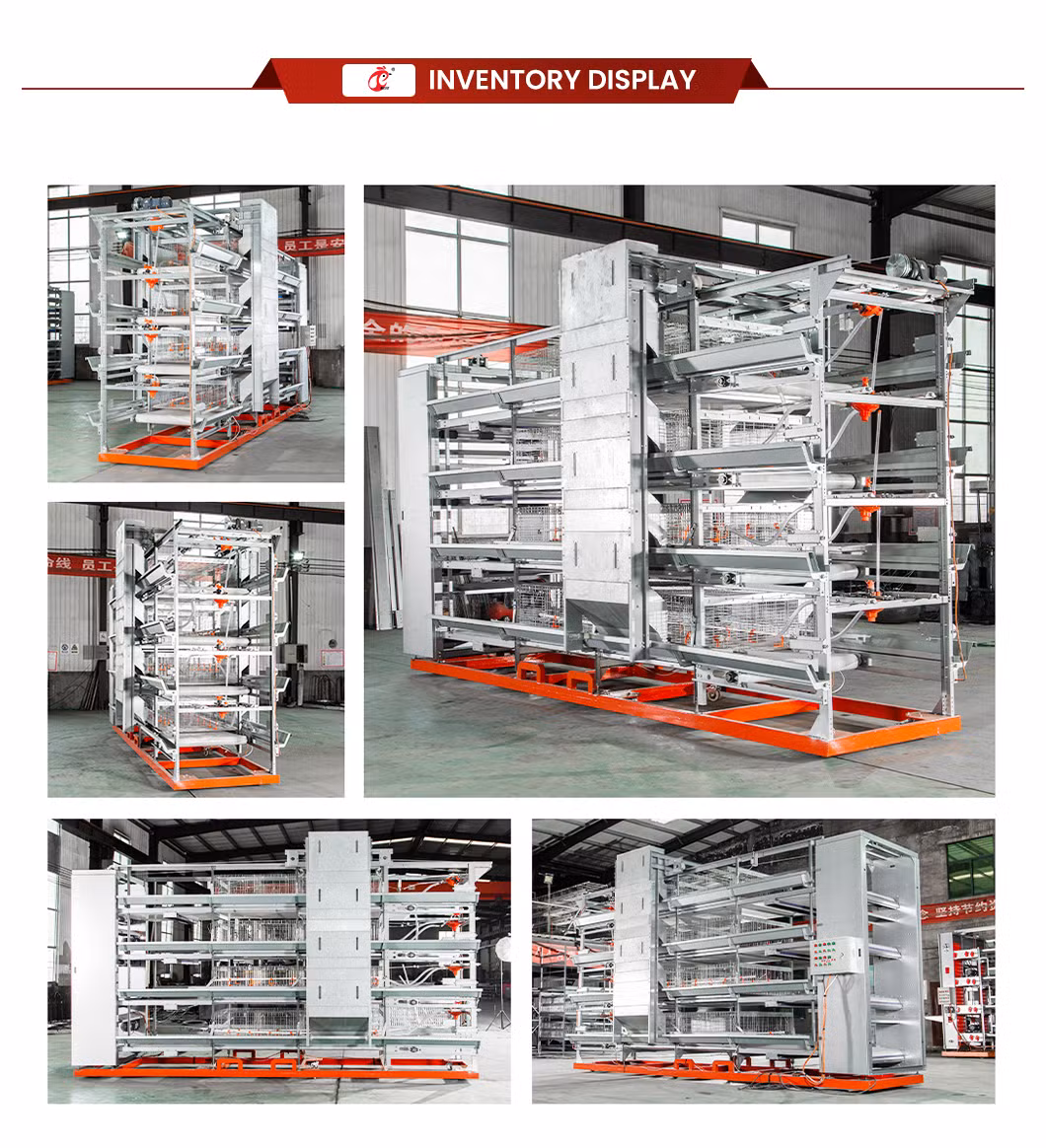 Bestchickencage China Vertical Chicken Coop Manufacturing H Frame Automatic Boriler Cages OEM Customized Hot Galvanized Surface Treatment Big Chicken Cage