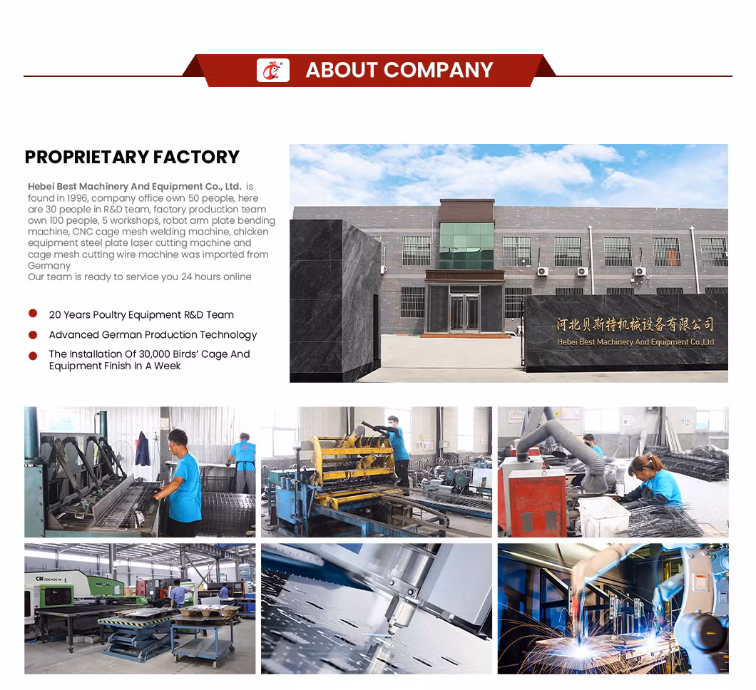 Bestchickencage China Vertical Chicken Coop Manufacturing H Frame Automatic Boriler Cages OEM Customized Hot Galvanized Surface Treatment Big Chicken Cage