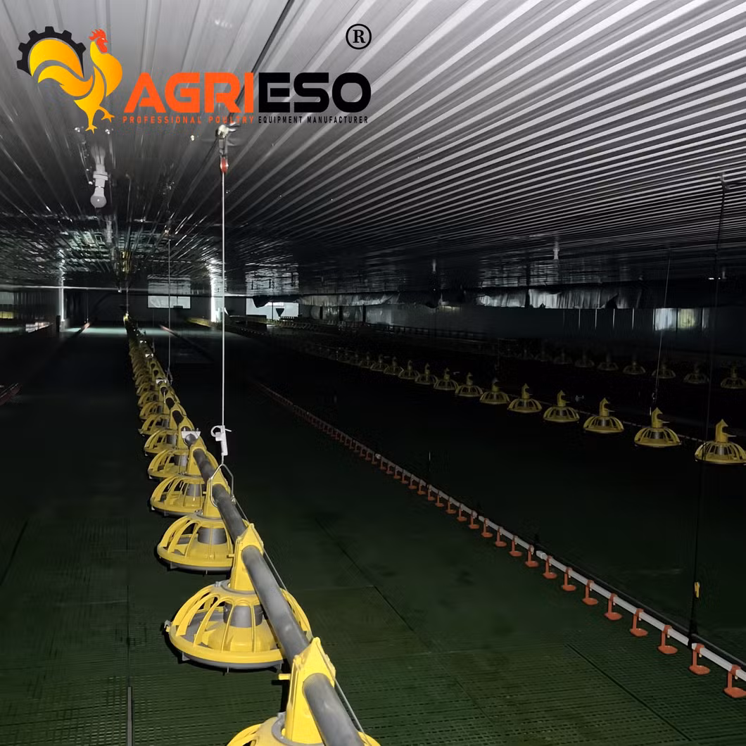 Agrieso Poultry Farm Equipment Broilers Automatic Feeding Line and Drinking Line Completer Feeding Equipment