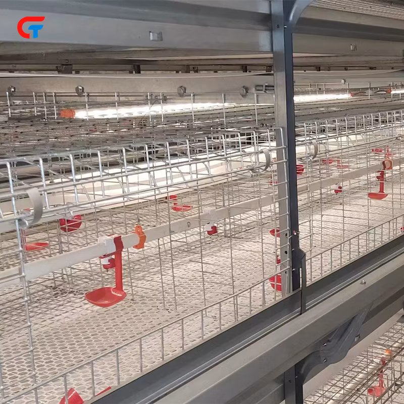 Battery Chicken Cage, Automatic Intelligent Chicken House Farming Poultry Equipment