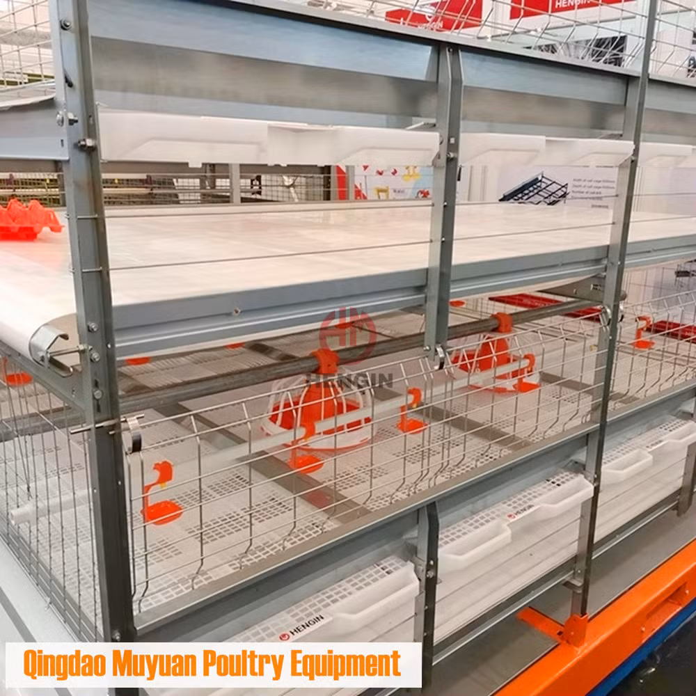 Customized Galvanized Metal Chicken Broiler Battery Cage for Poultry Farm