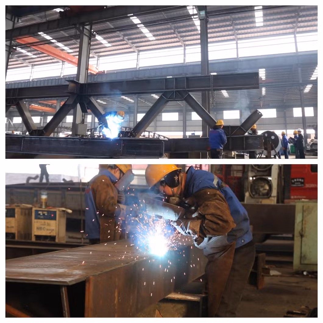 China Factory Supply Steel Frame Chicken Shed/House Building Prefab Poultry Farm Construction