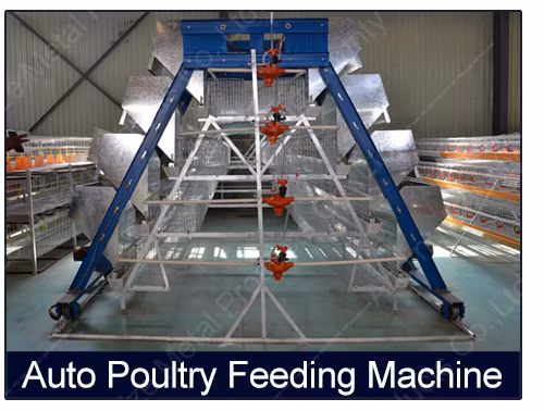 Poultry Layer Chicken Cages Coop Battery Walk Single Mesh Wire Door Enclosure